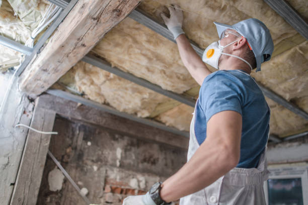 Best Professional Insulation Contractor  in Bourbon, IN